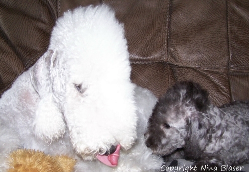 Svet & Alanna 05062006-1.jpg - ASCII